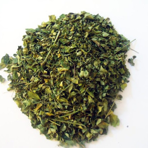 100 Grs - Moringa De La India